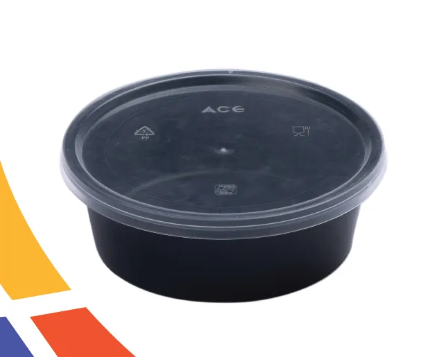 Plastic Rectangular Box